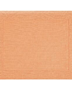 PLACEMAT <br />salmon
